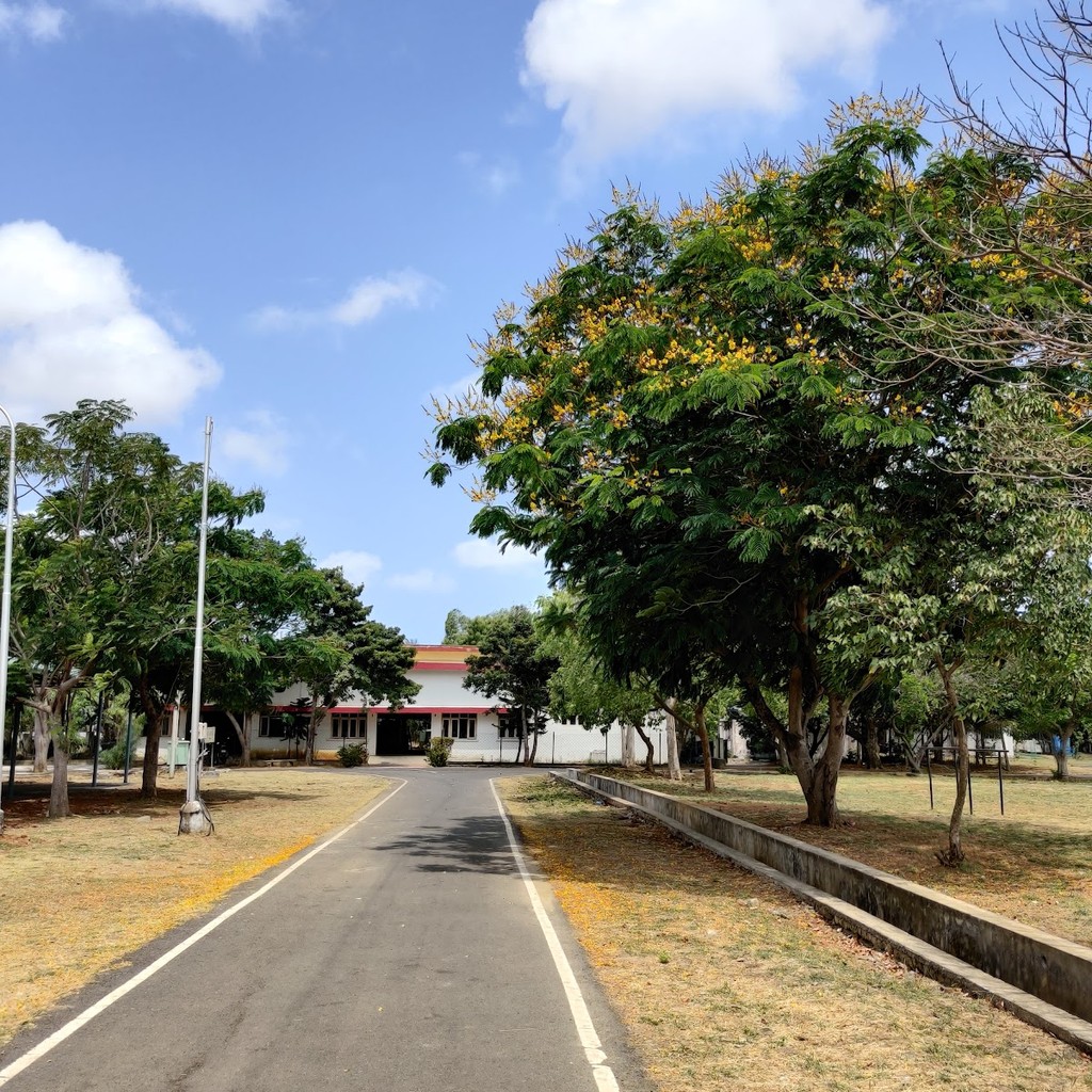 Google photo 2