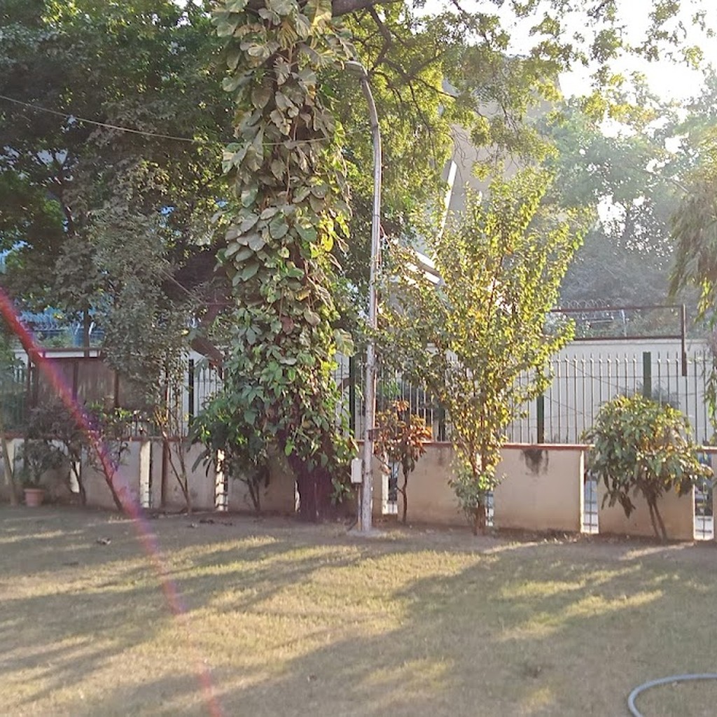 Google photo 8