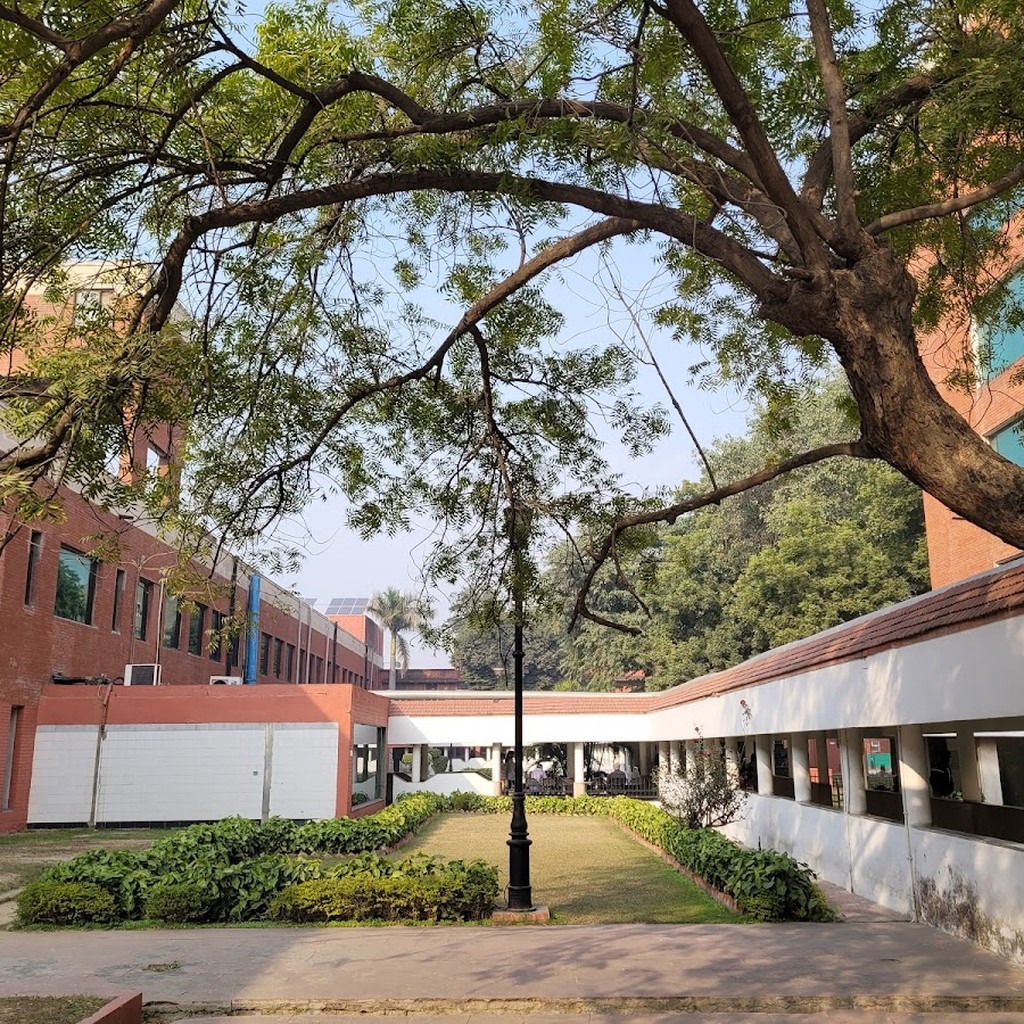 Google photo 4