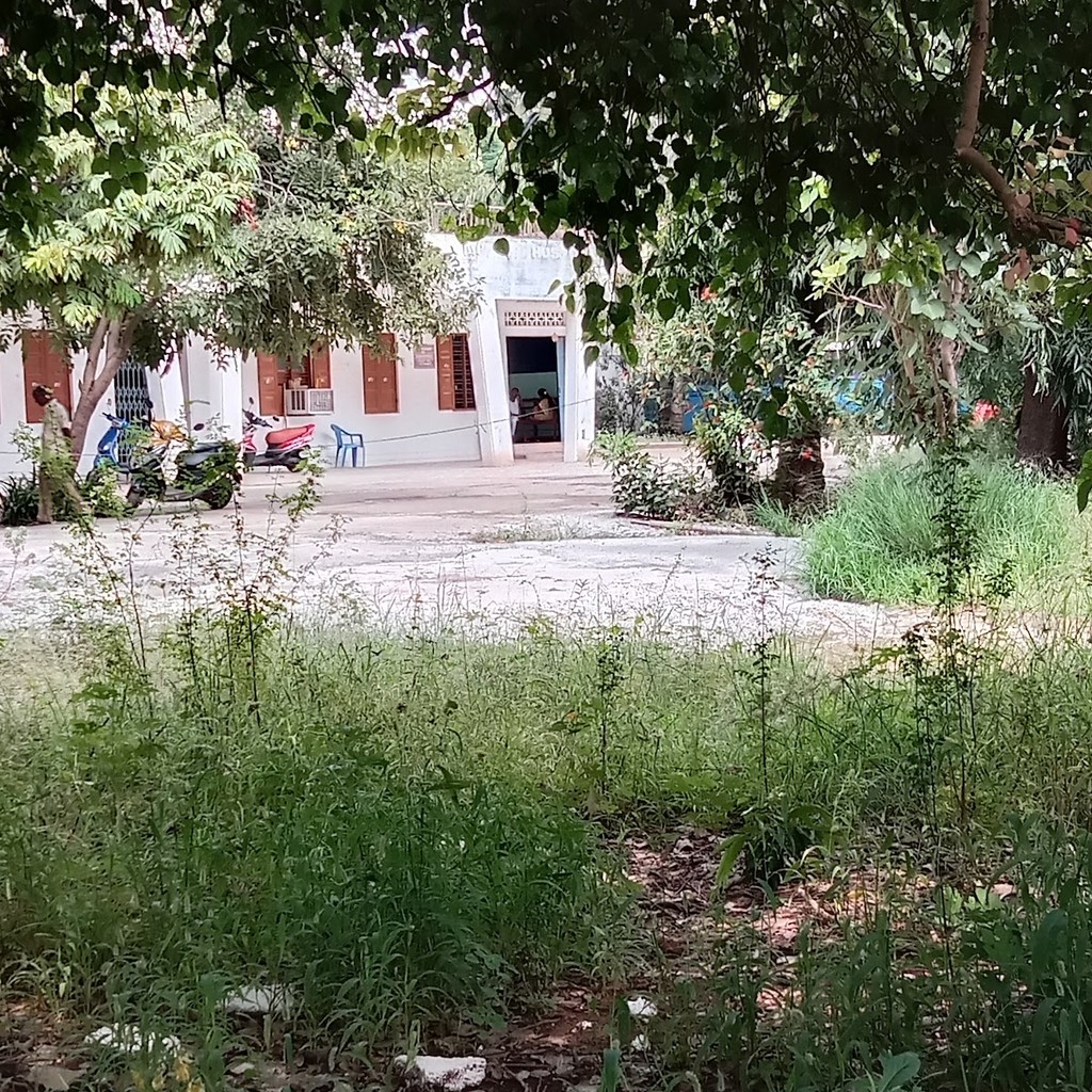 Google photo 2