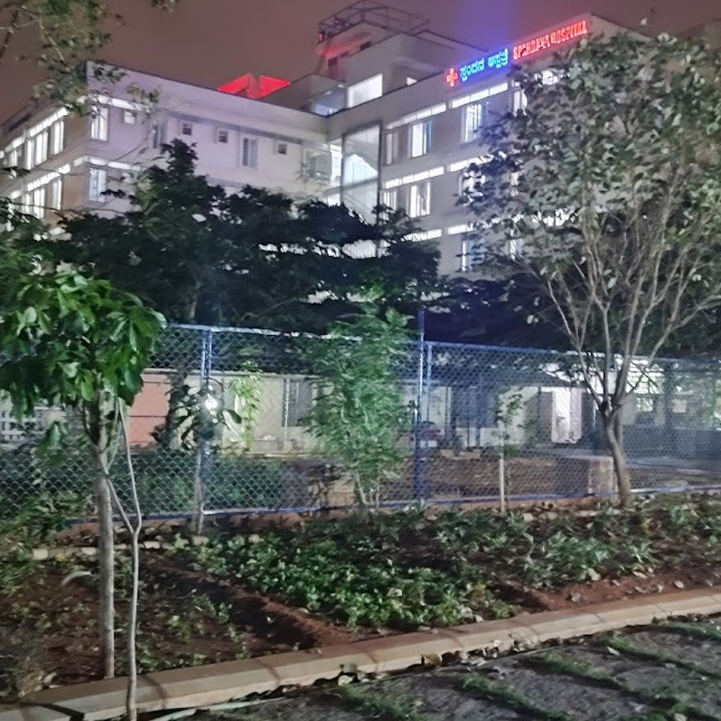 Google photo 8