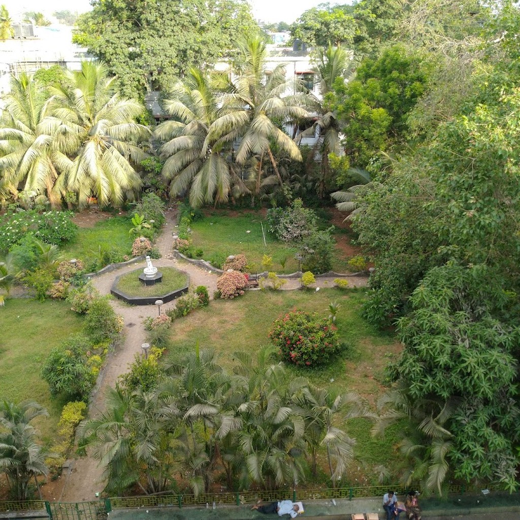 Google photo 6