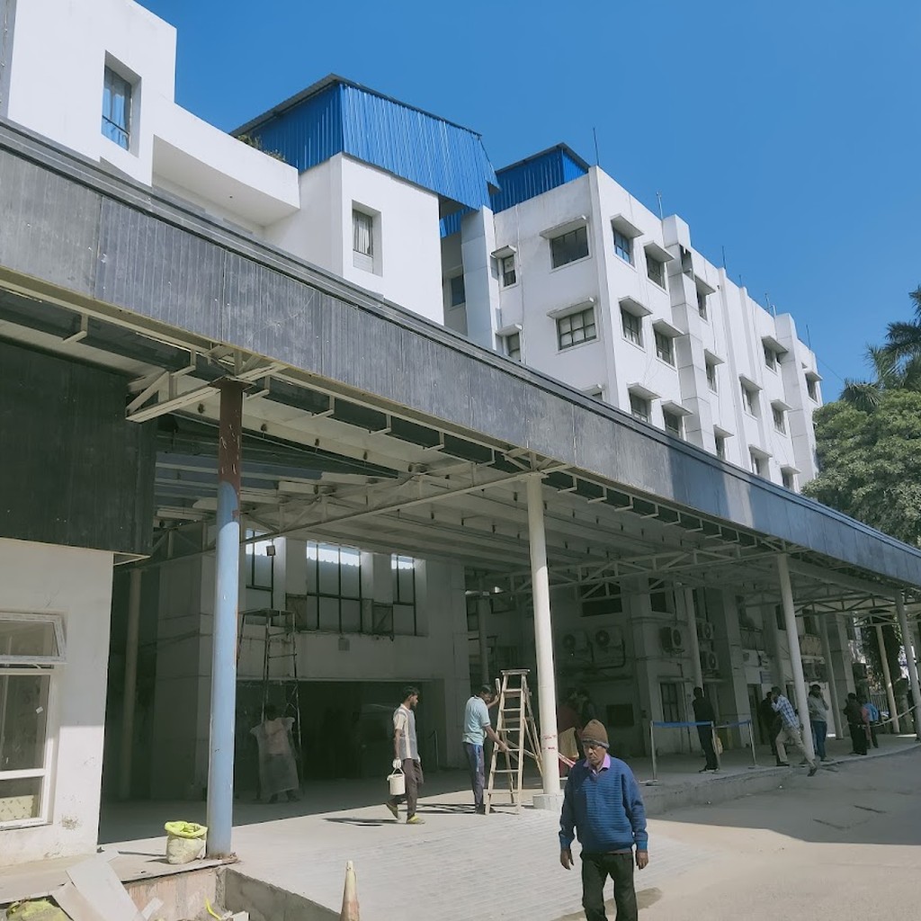 Google photo 7