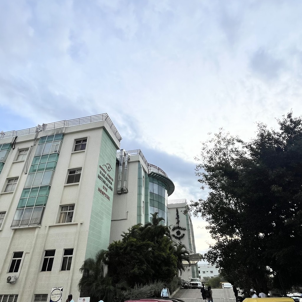 Google photo 2