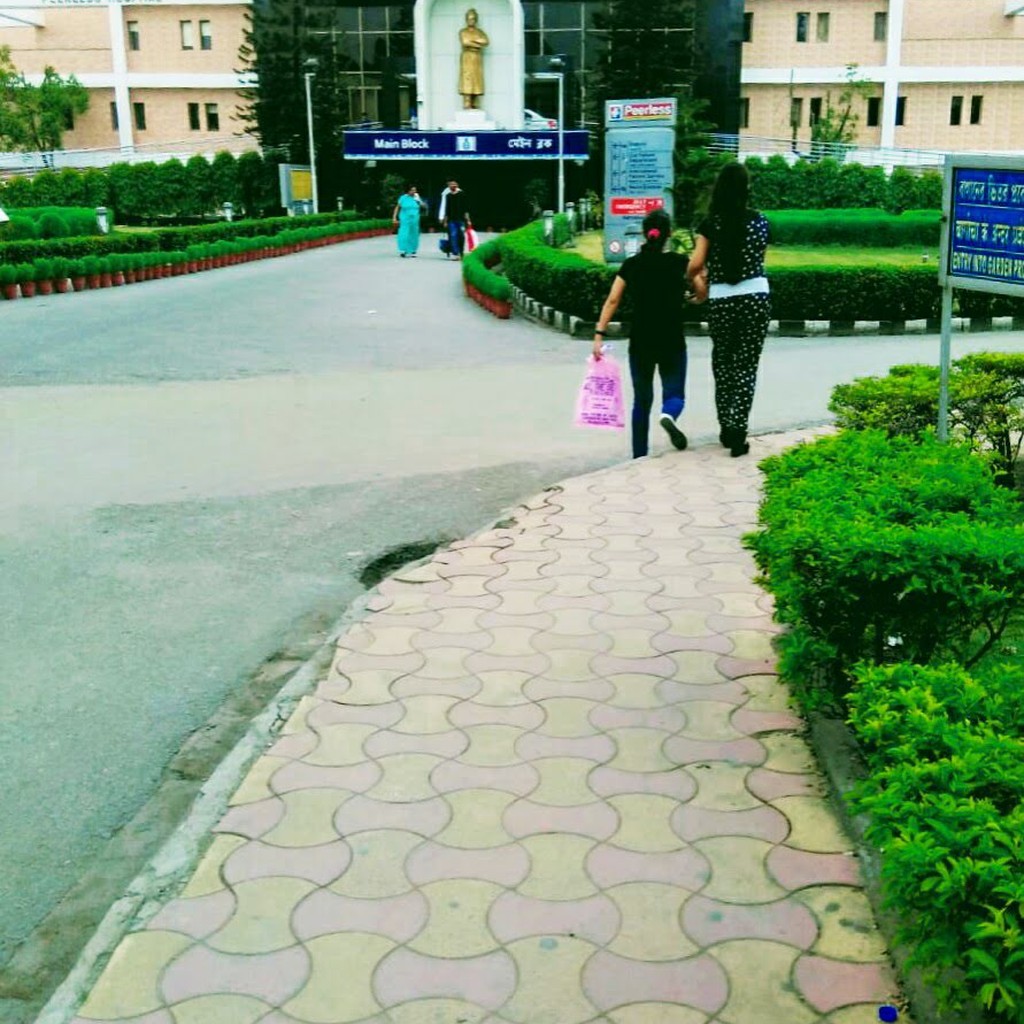 Google photo 2