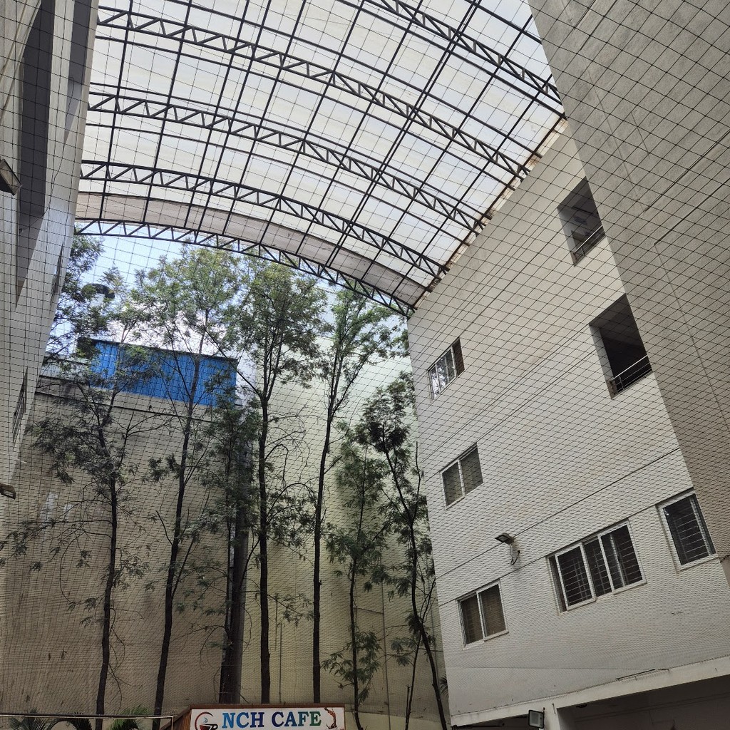 Google photo 3