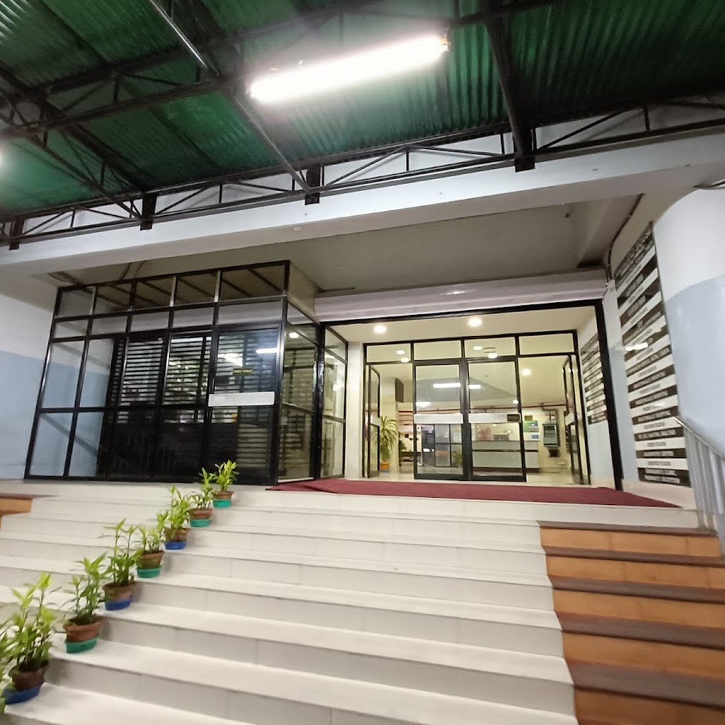 Google photo 4