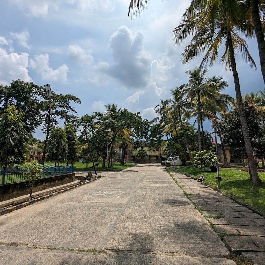 Google photo 4