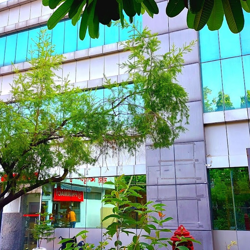 Google photo 5