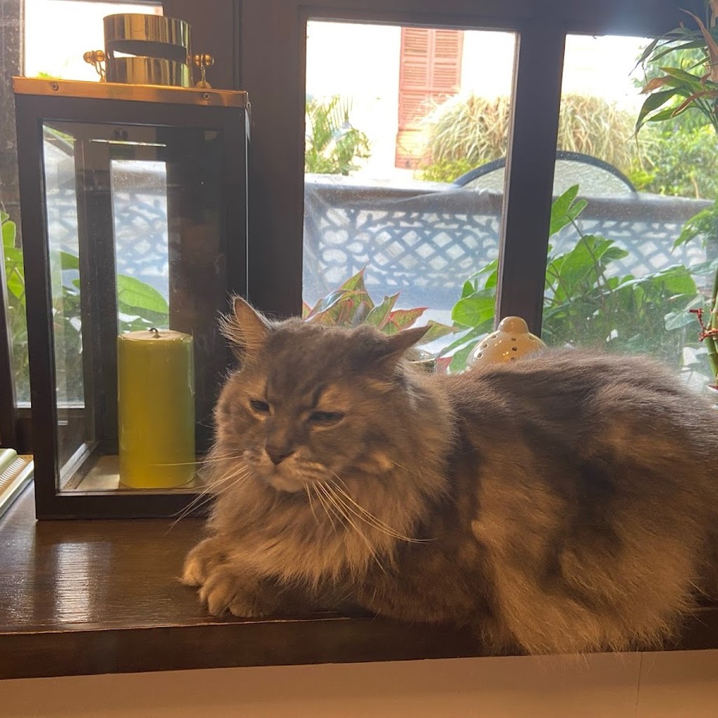 Google photo 6