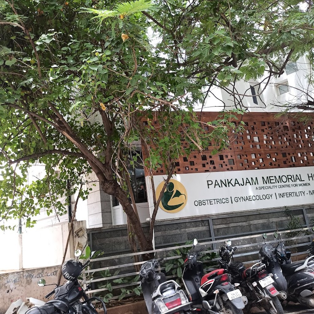 Google photo 2