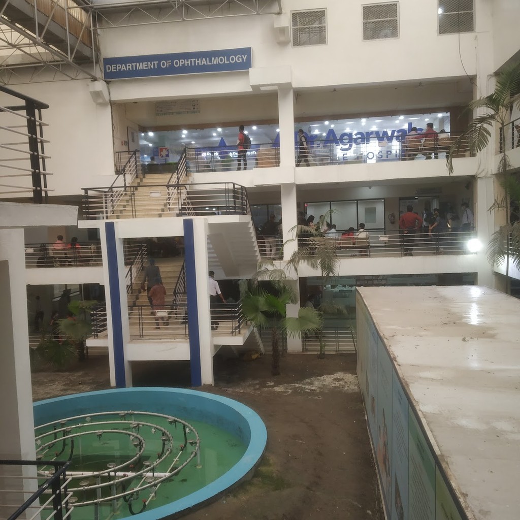 Google photo 2
