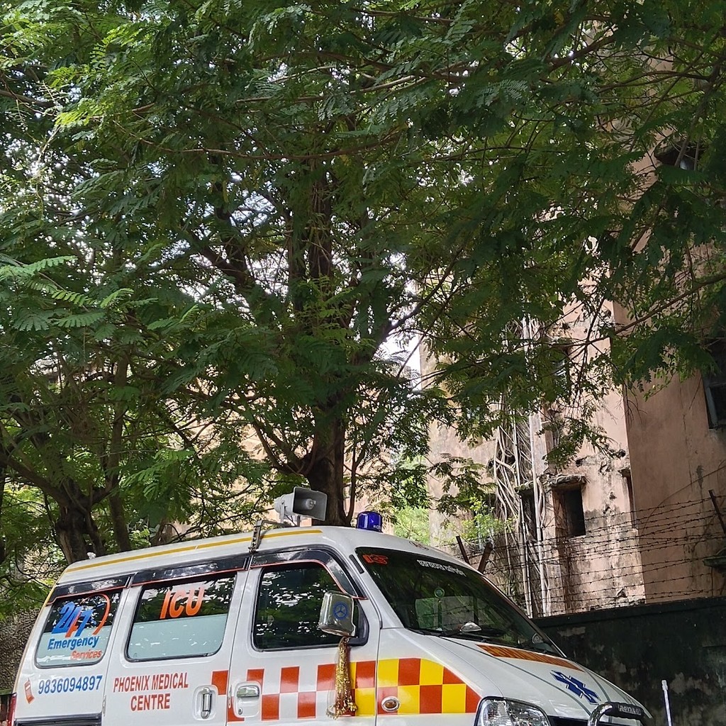 Google photo 7
