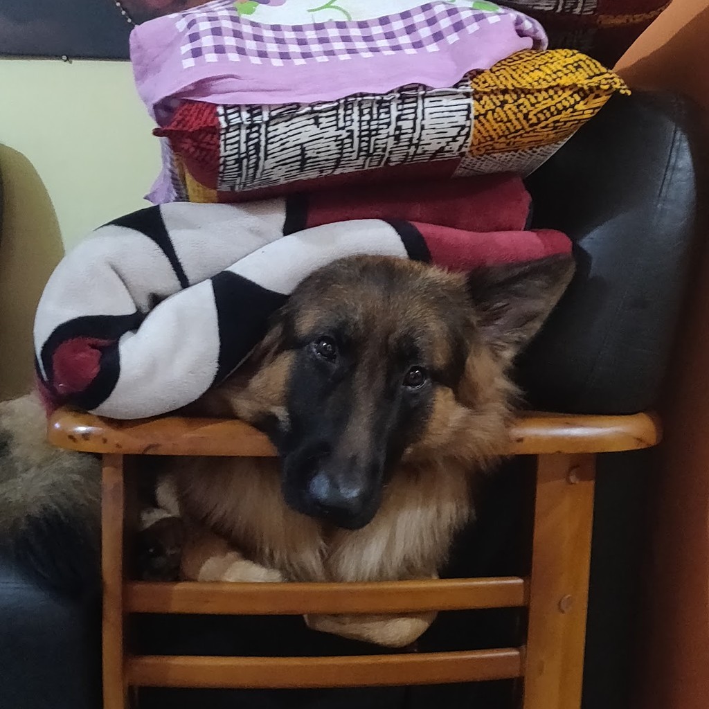 Google photo 6