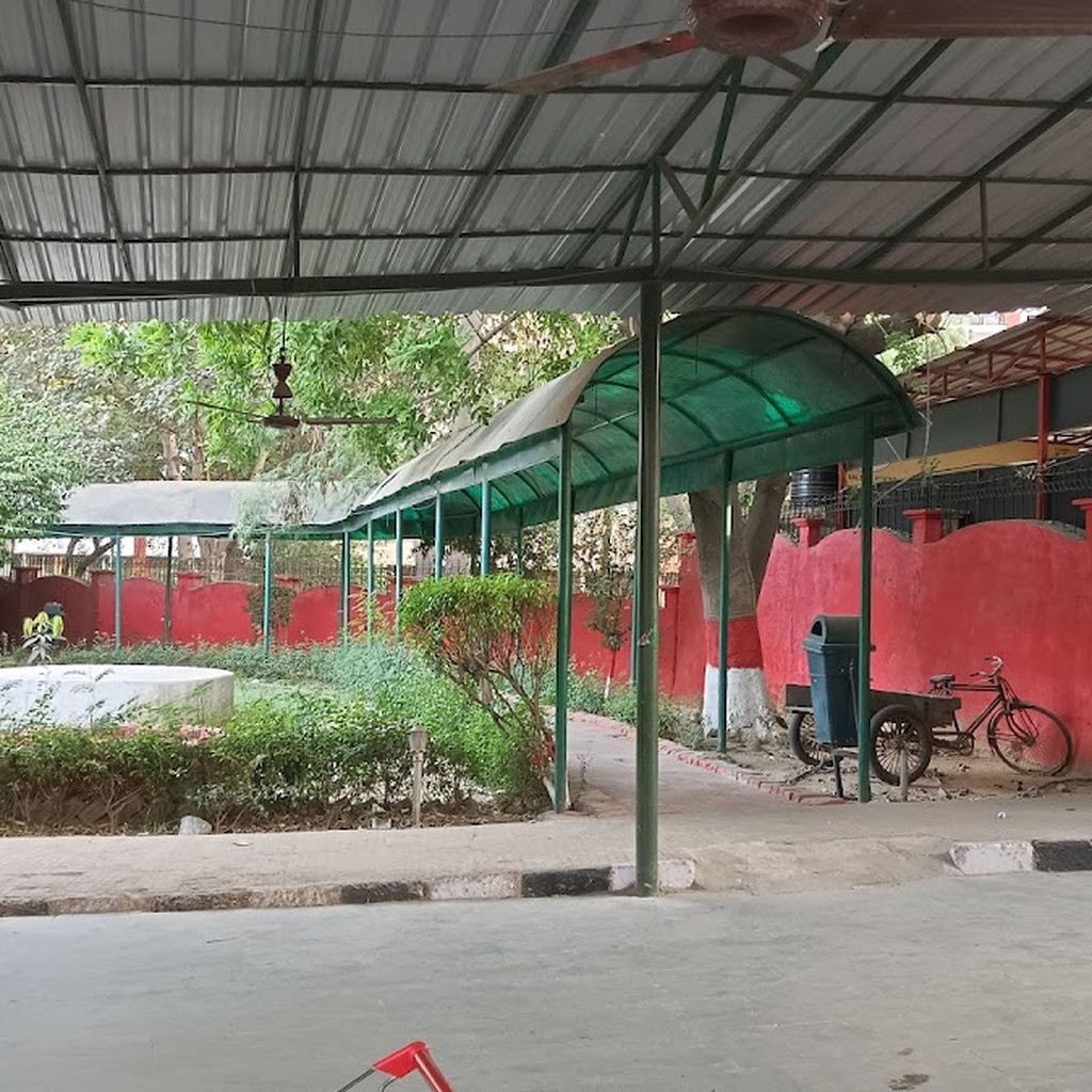 Google photo 8