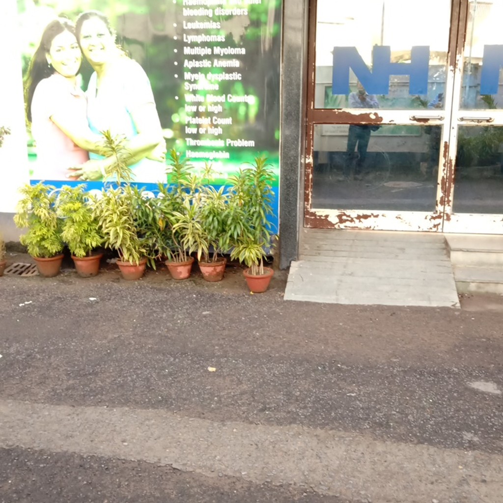 Google photo 5