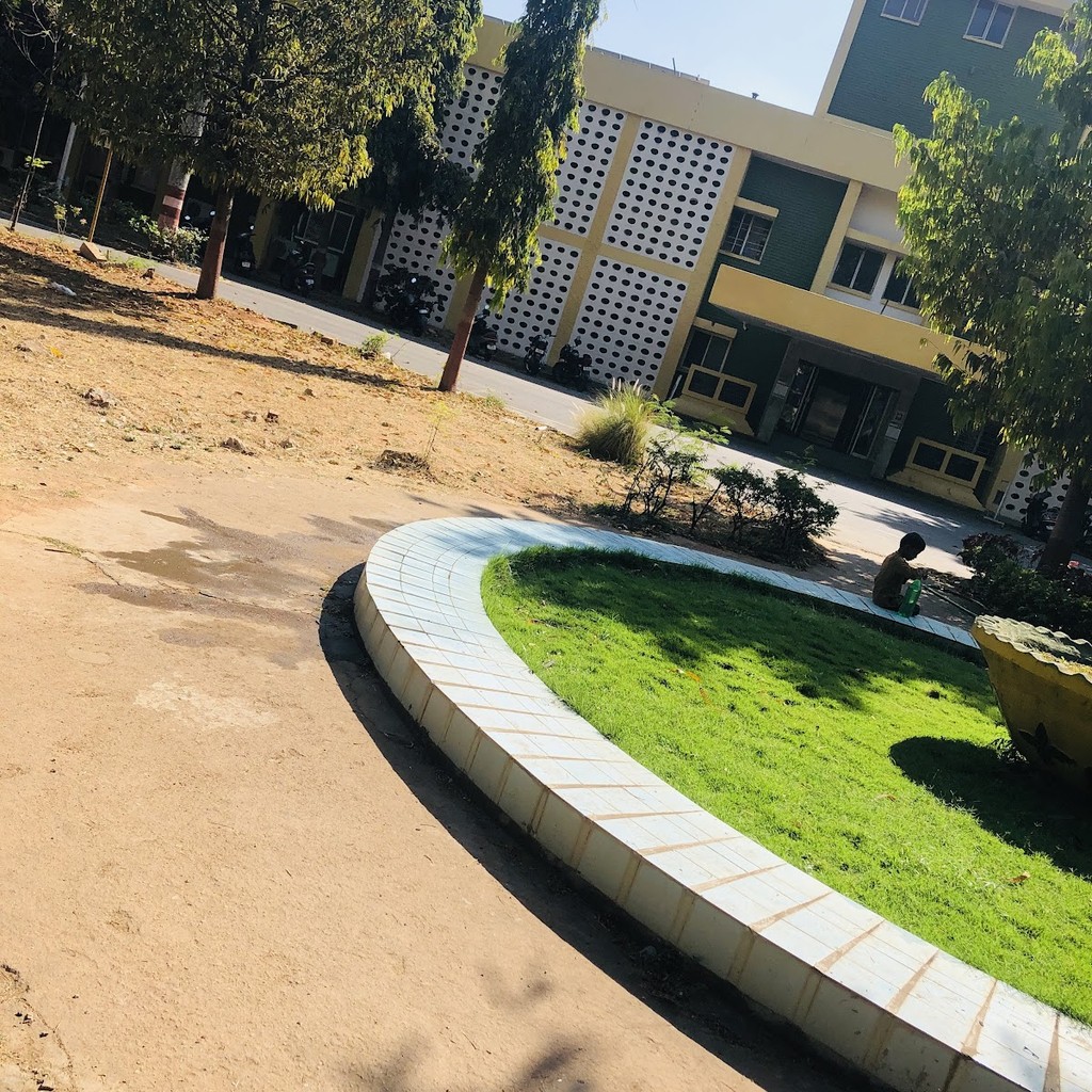 Google photo 2