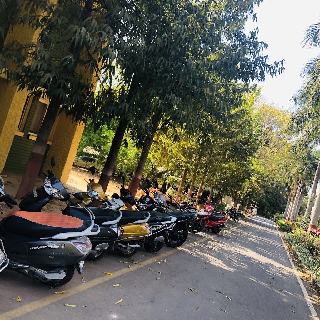 Google photo 5