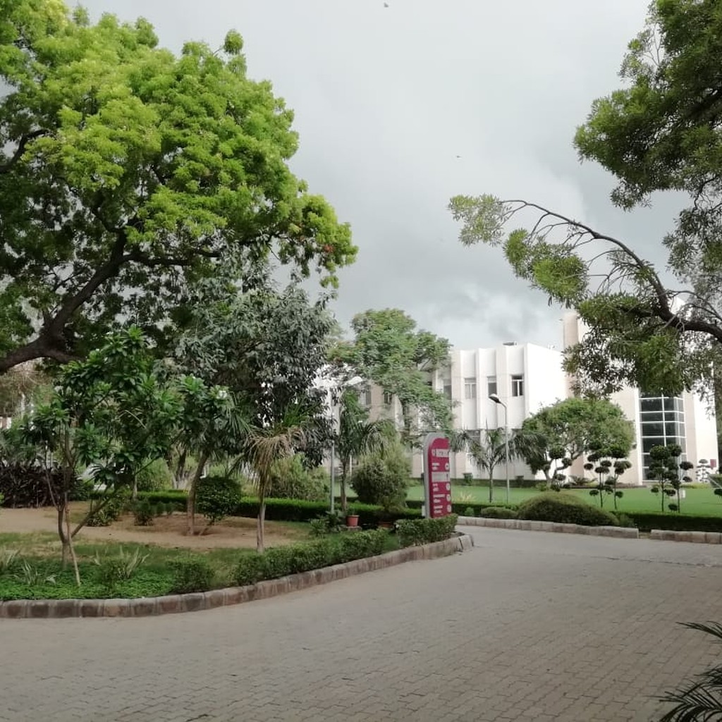 Google photo 2