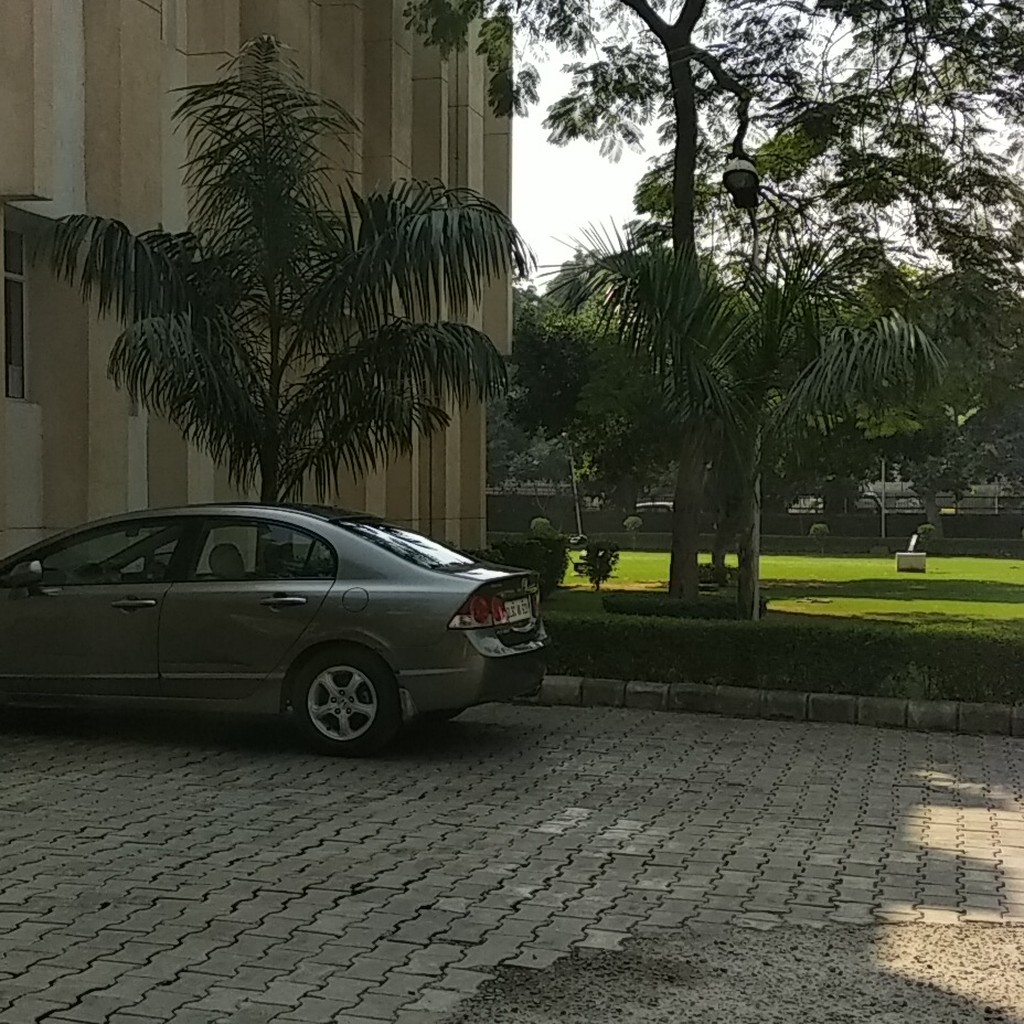Google photo 7