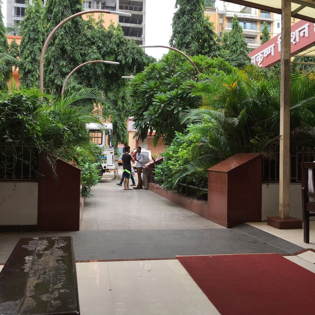 Google photo 8