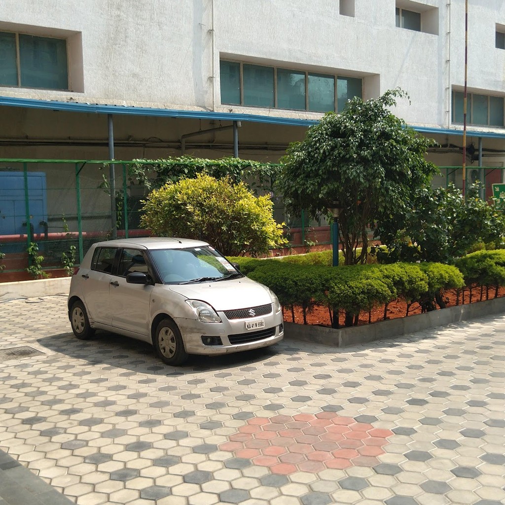 Google photo 2