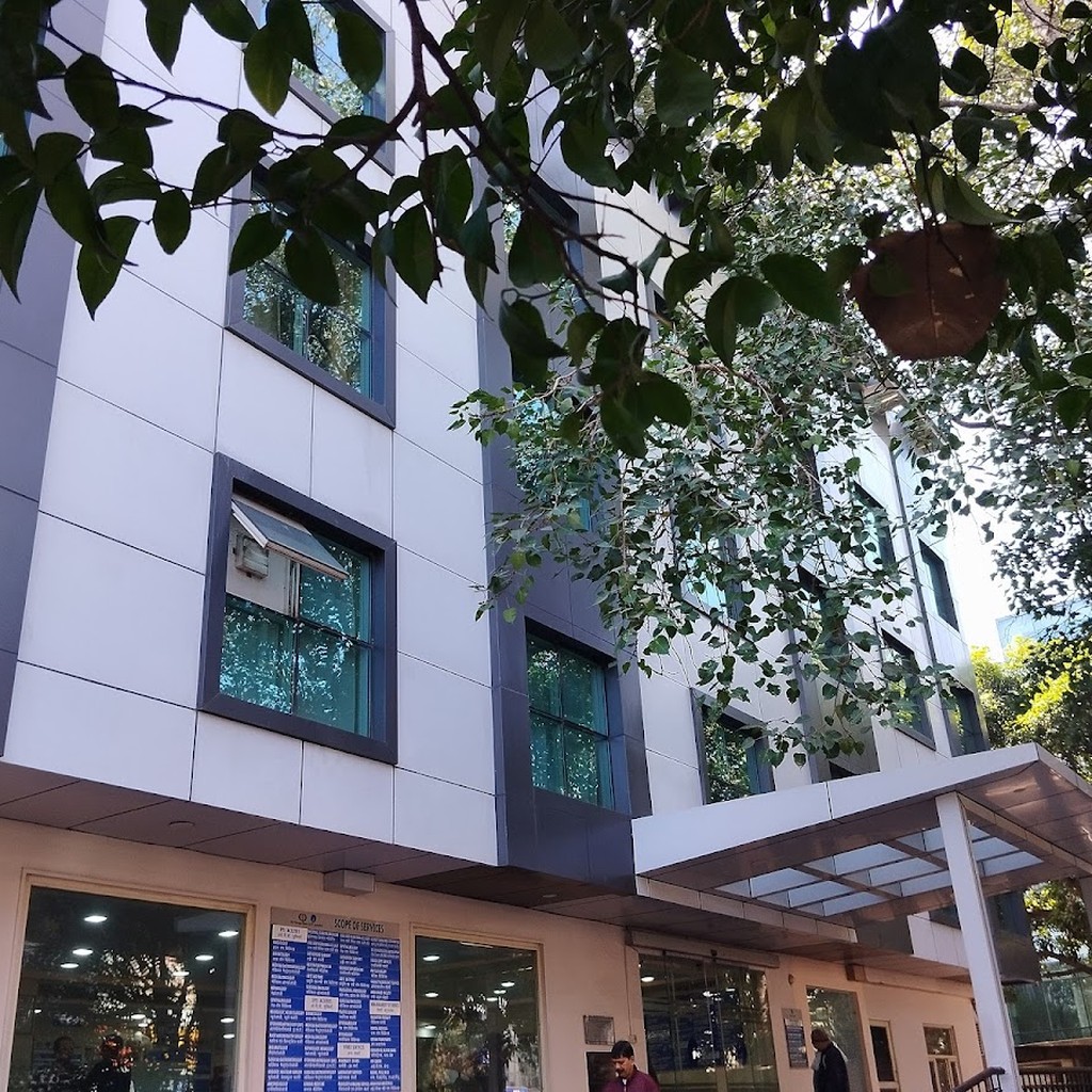 Google photo 3