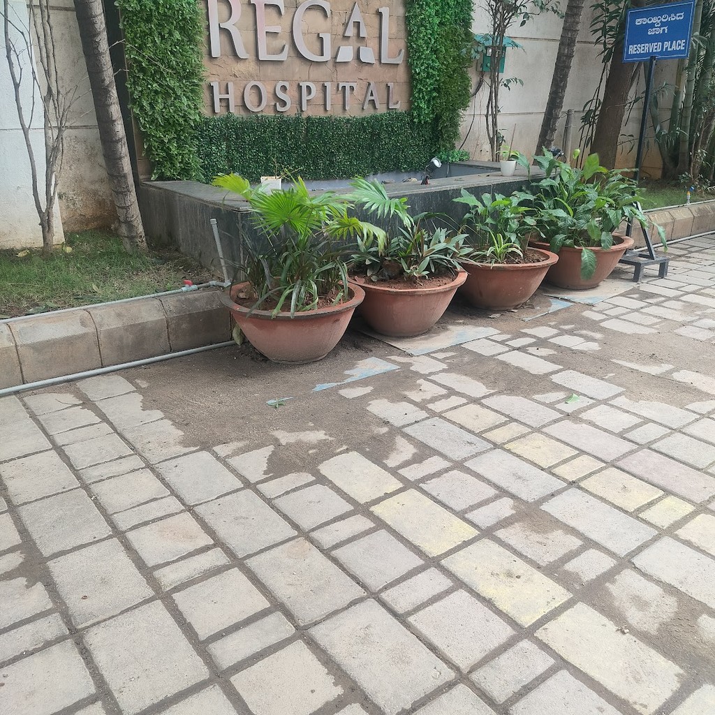 Google photo 3