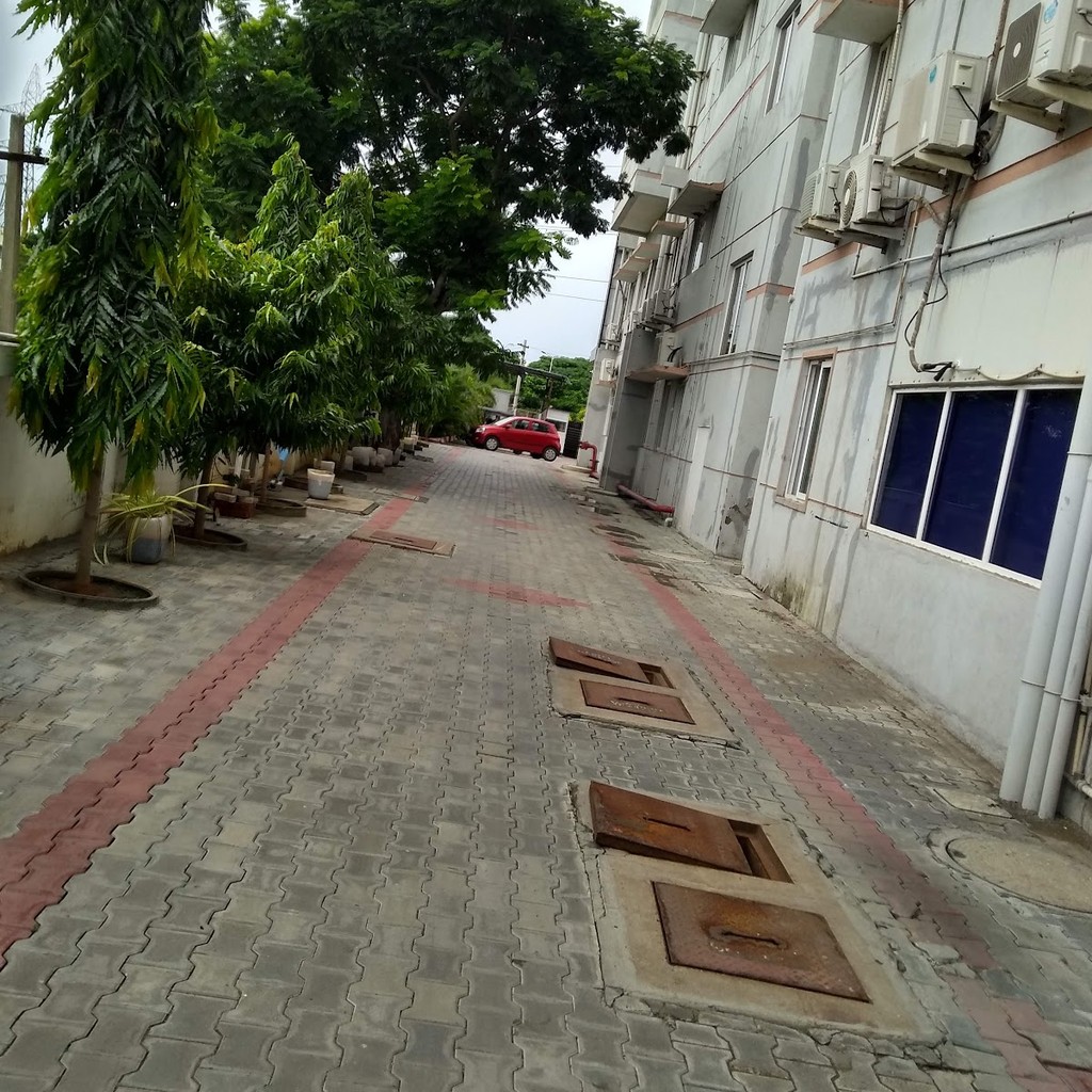 Google photo 4