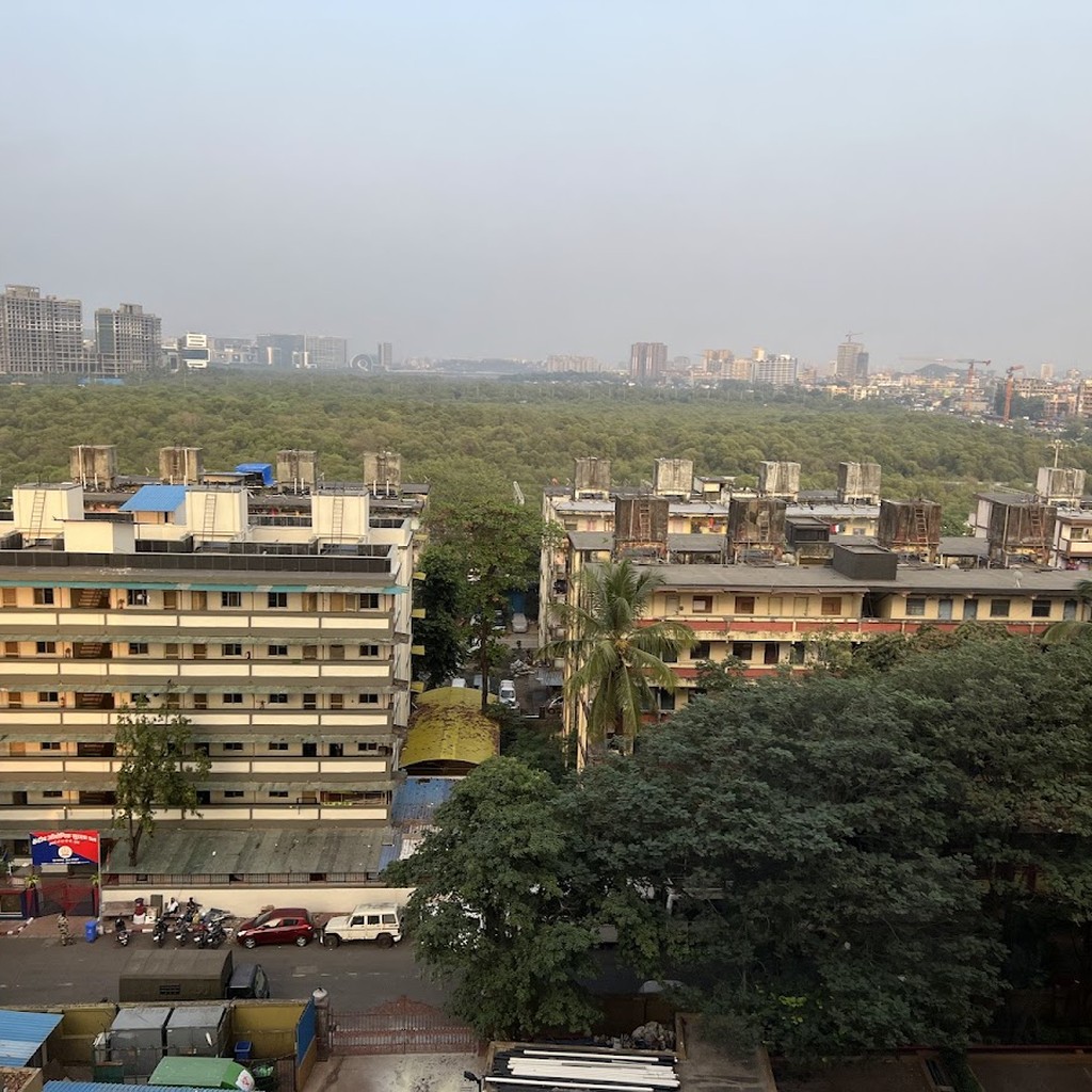 Google photo 2