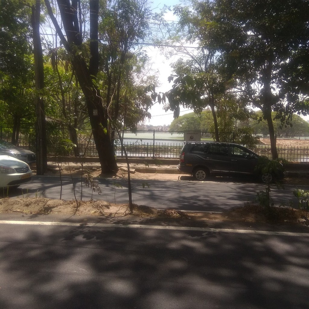 Google photo 6