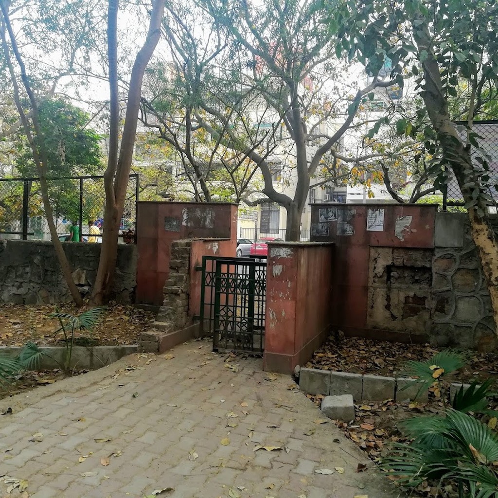 Google photo 5
