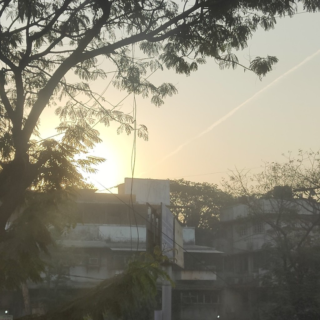 Google photo 2