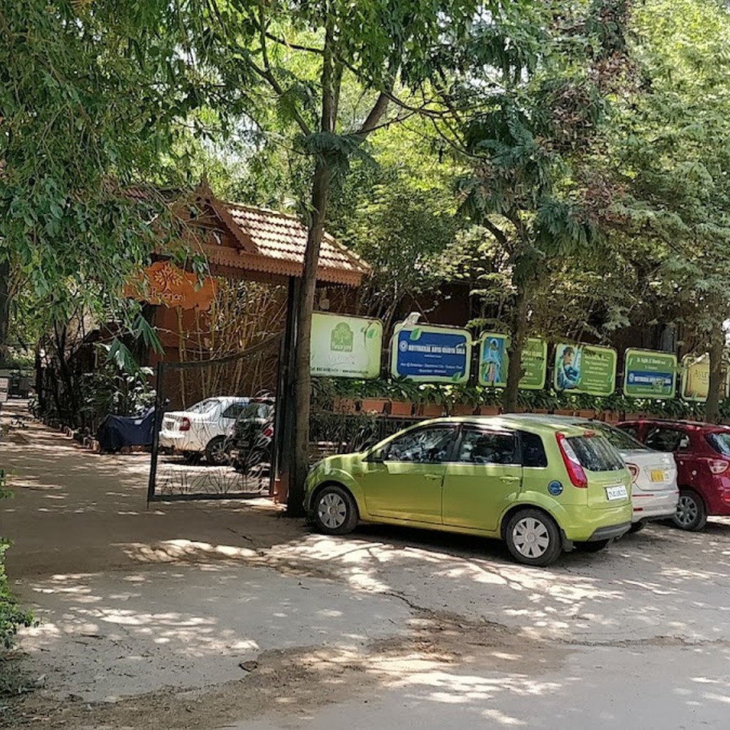 Google photo 5