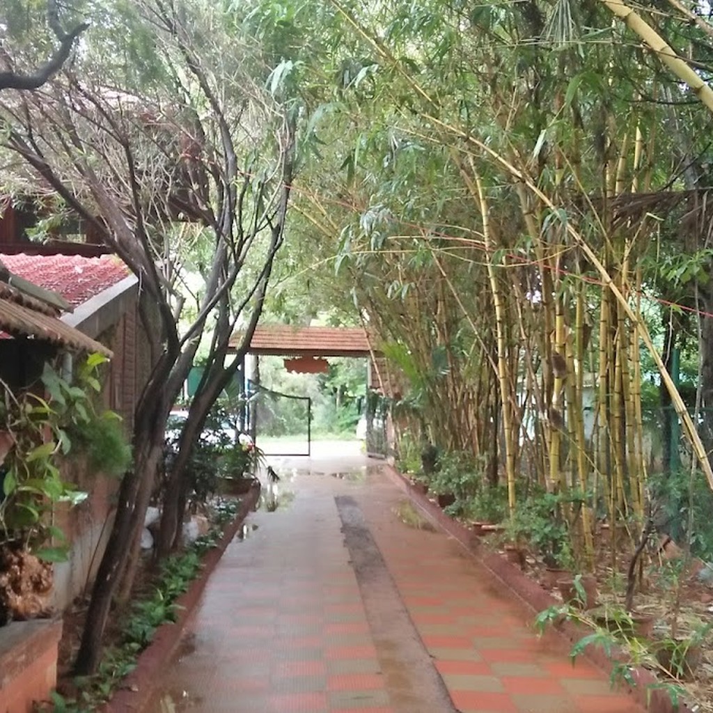 Google photo 6