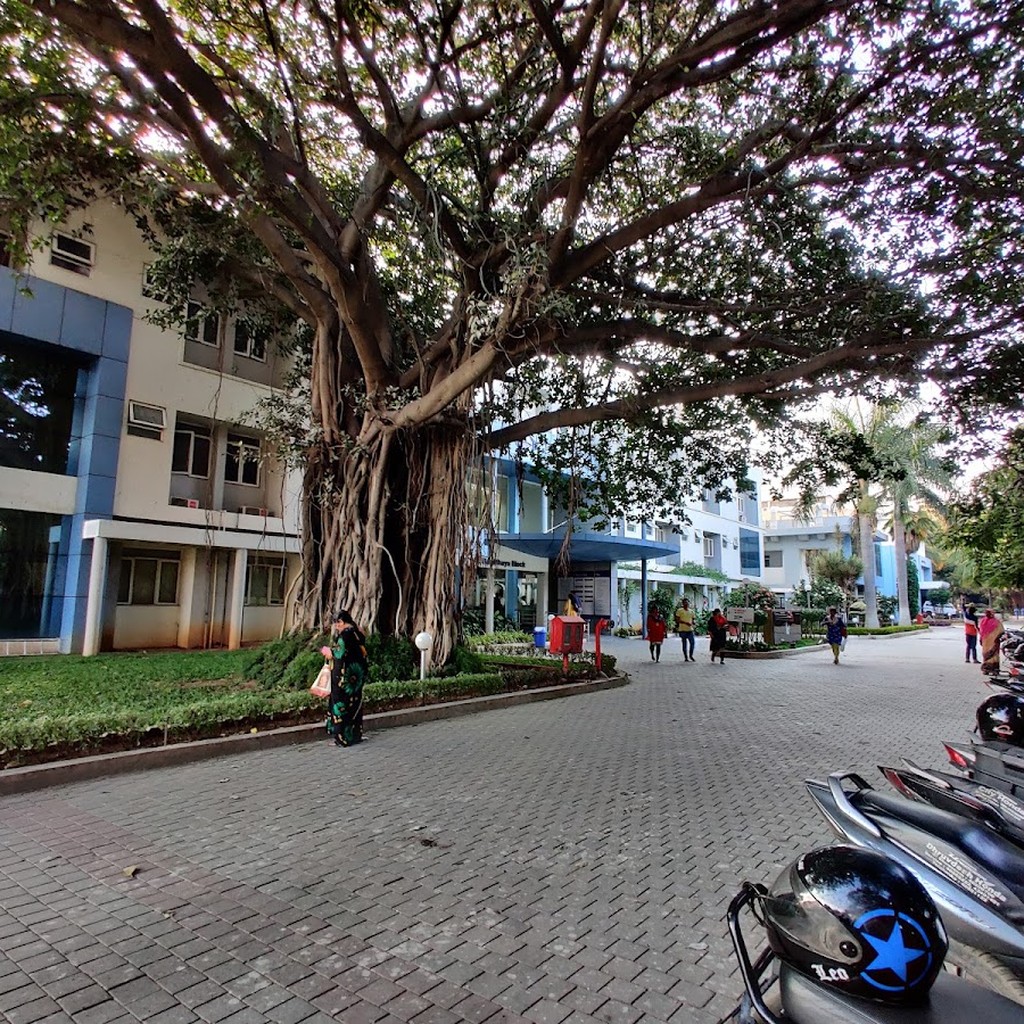 Google photo 3