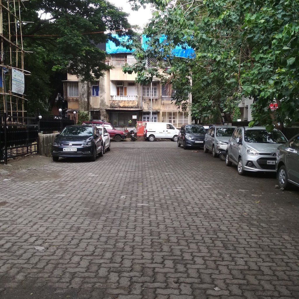 Google photo 4