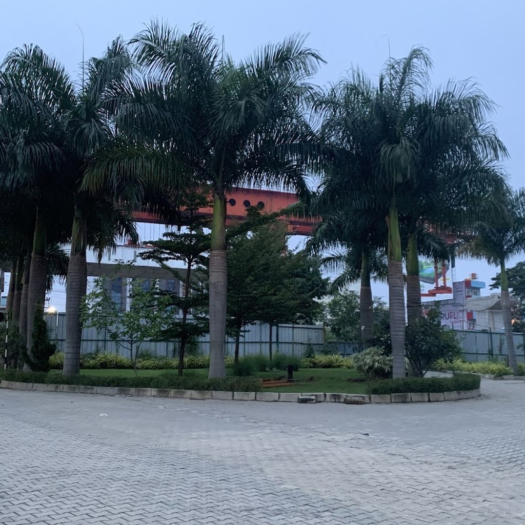 Google photo 5