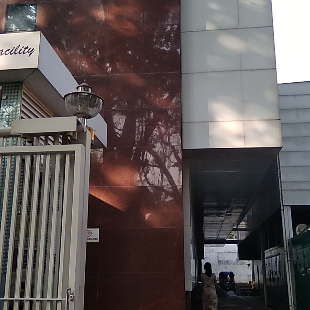 Google photo 4