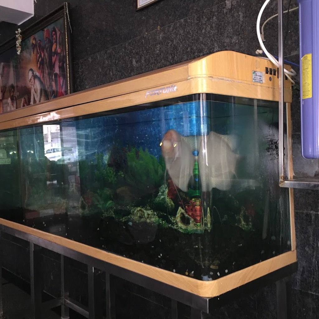 Google photo 6