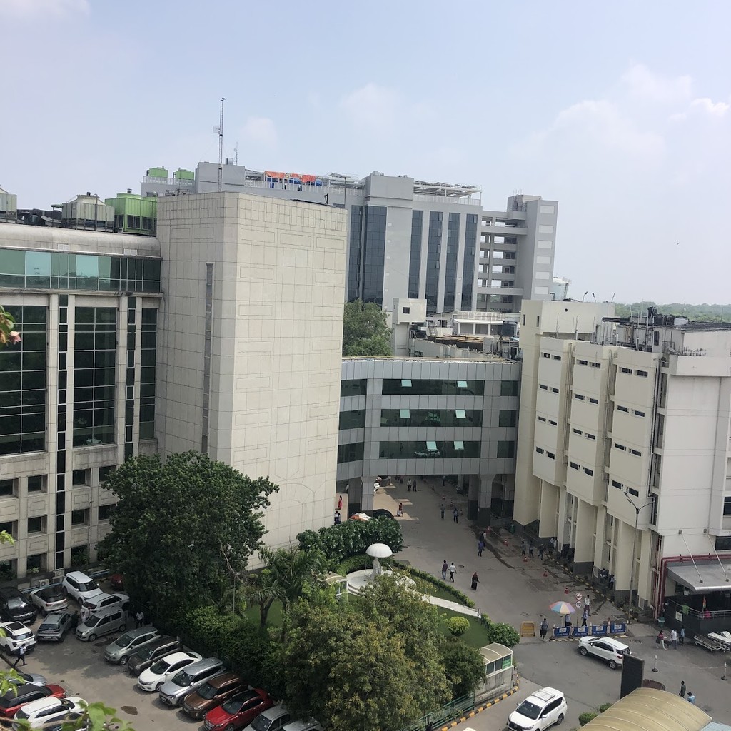 Google photo 2