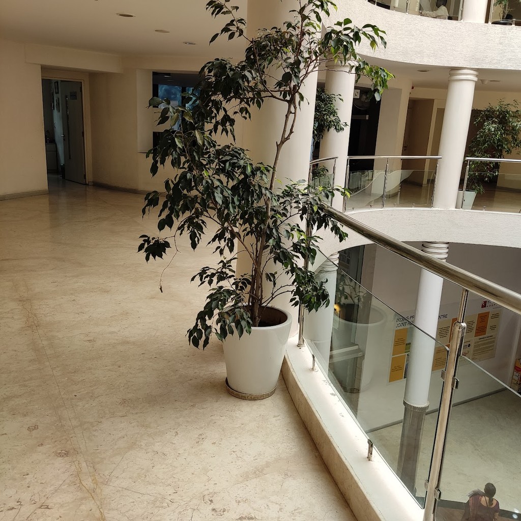 Google photo 5