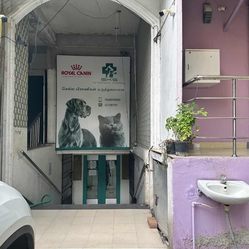 Google photo 5