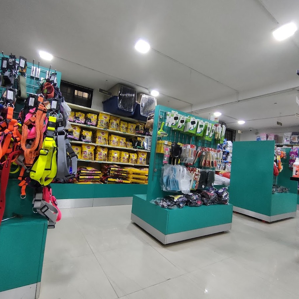 Google photo 8