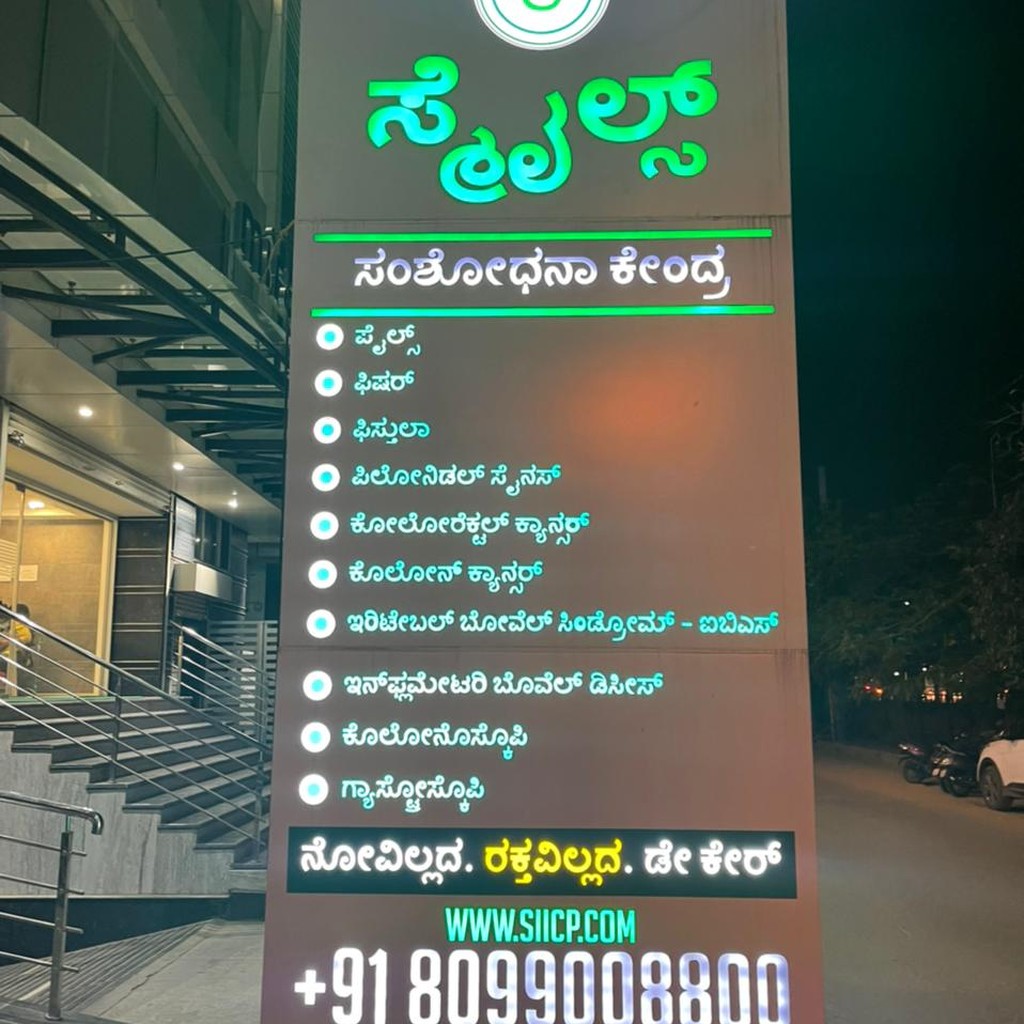 Google photo 5