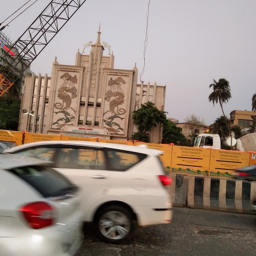 Google photo 2