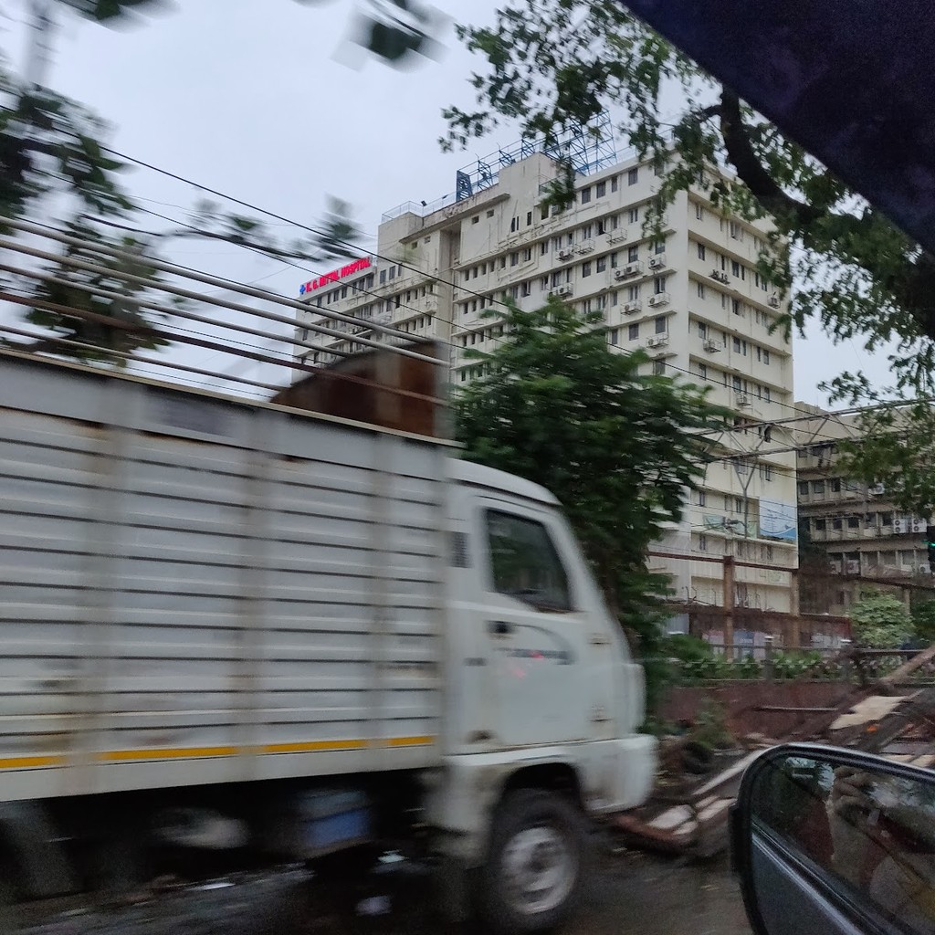 Google photo 3