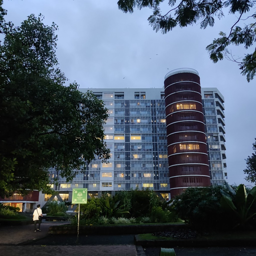 Google photo 6