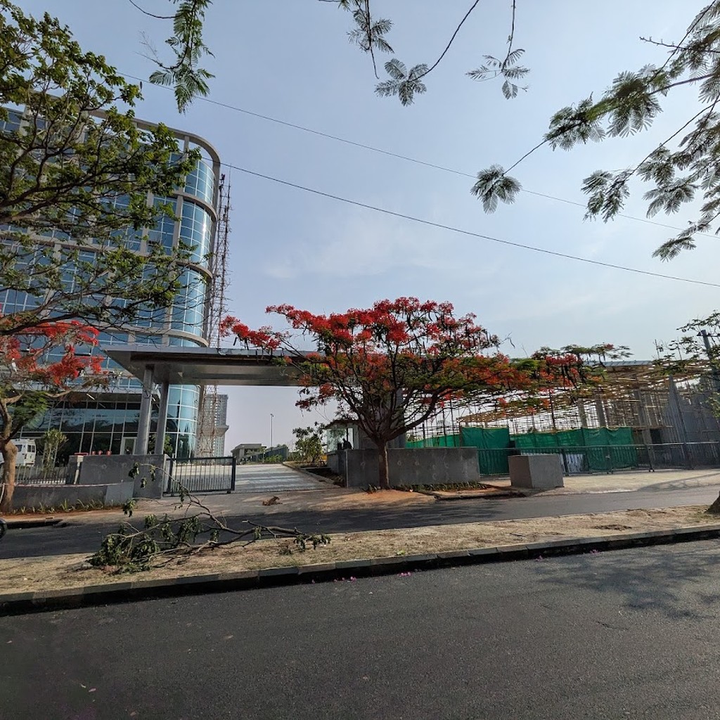 Google photo 2