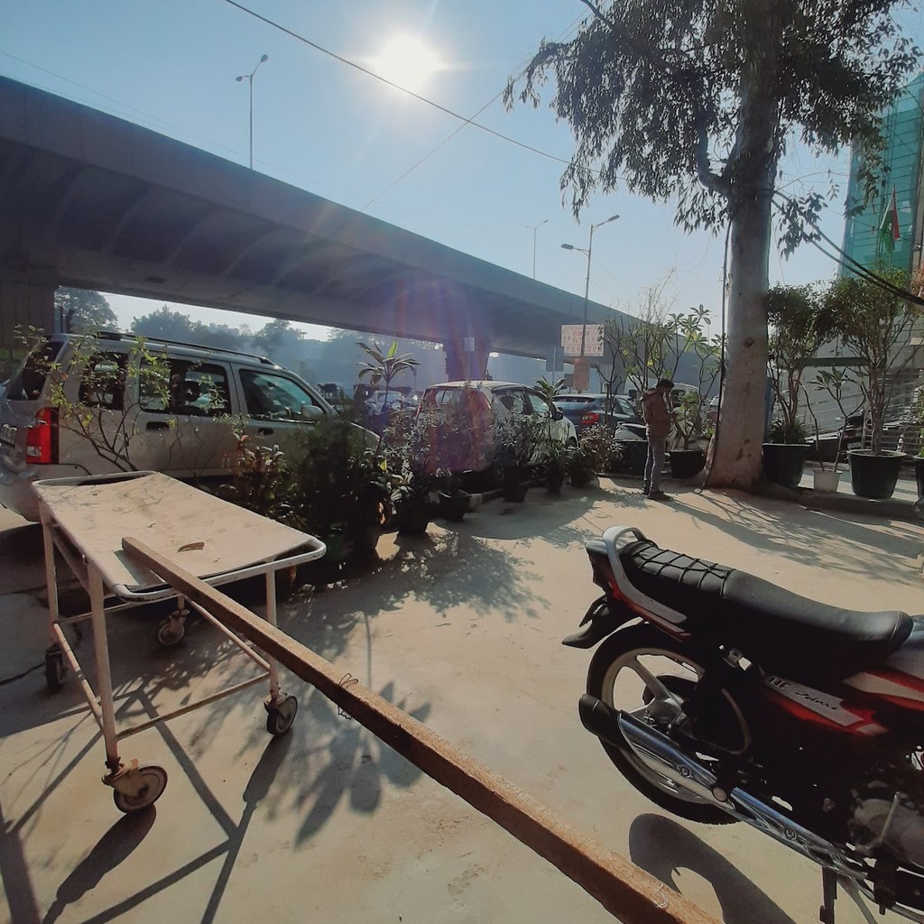 Google photo 7